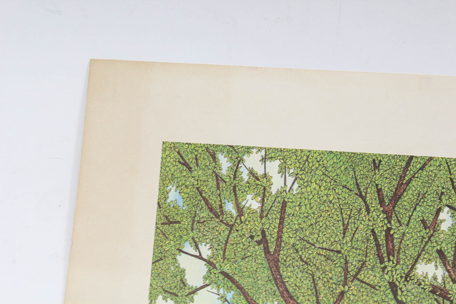 Signed Philip B. Bergson Limited Edition Lithograph "Unicorn"