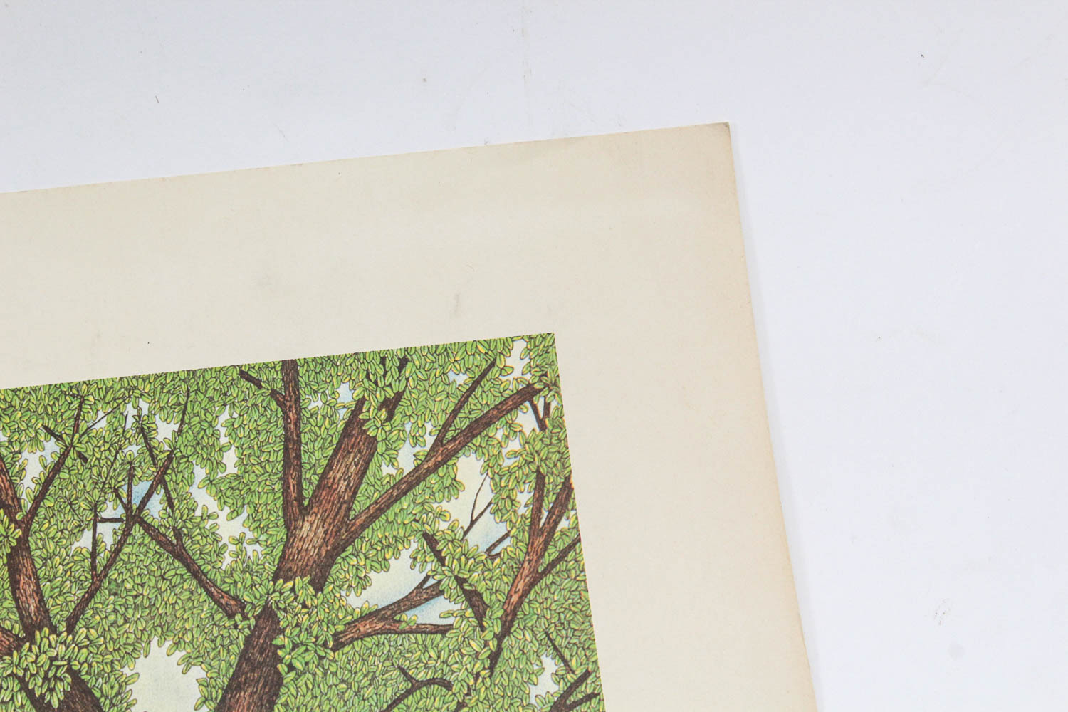 Signed Philip B. Bergson Limited Edition Lithograph "Unicorn"