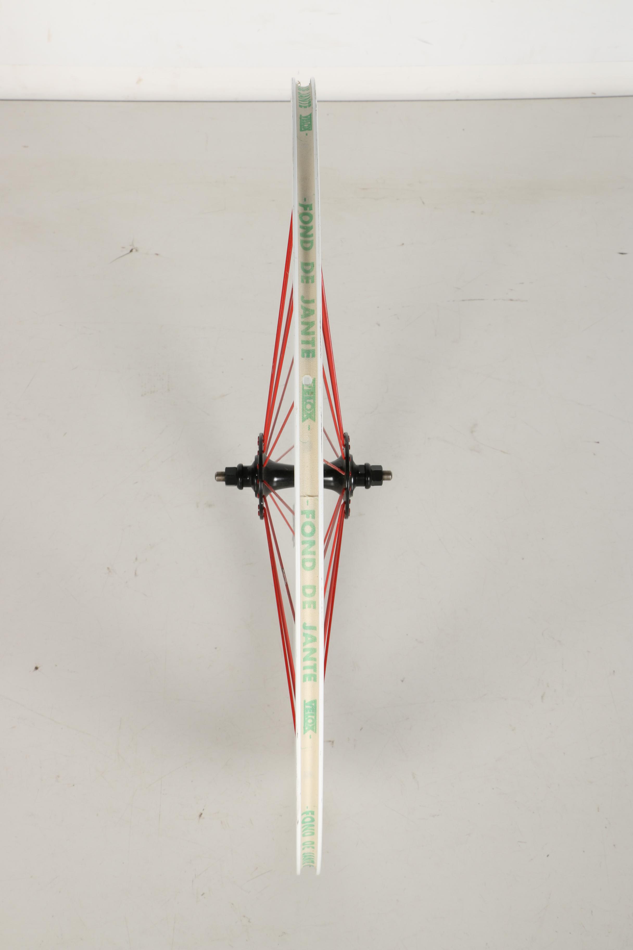 Leader Bicycle Frame and Velocity Wheel