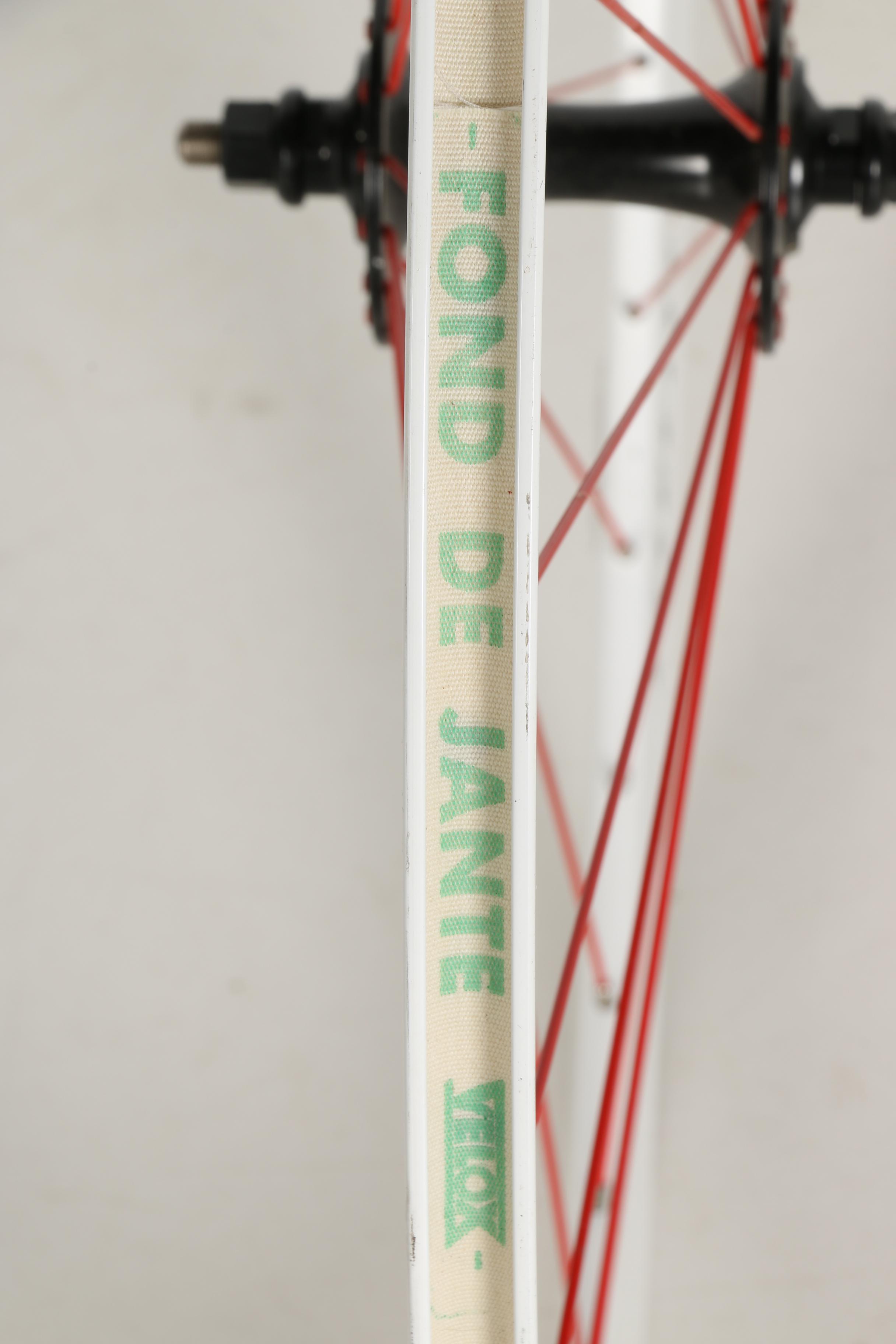 Leader Bicycle Frame and Velocity Wheel