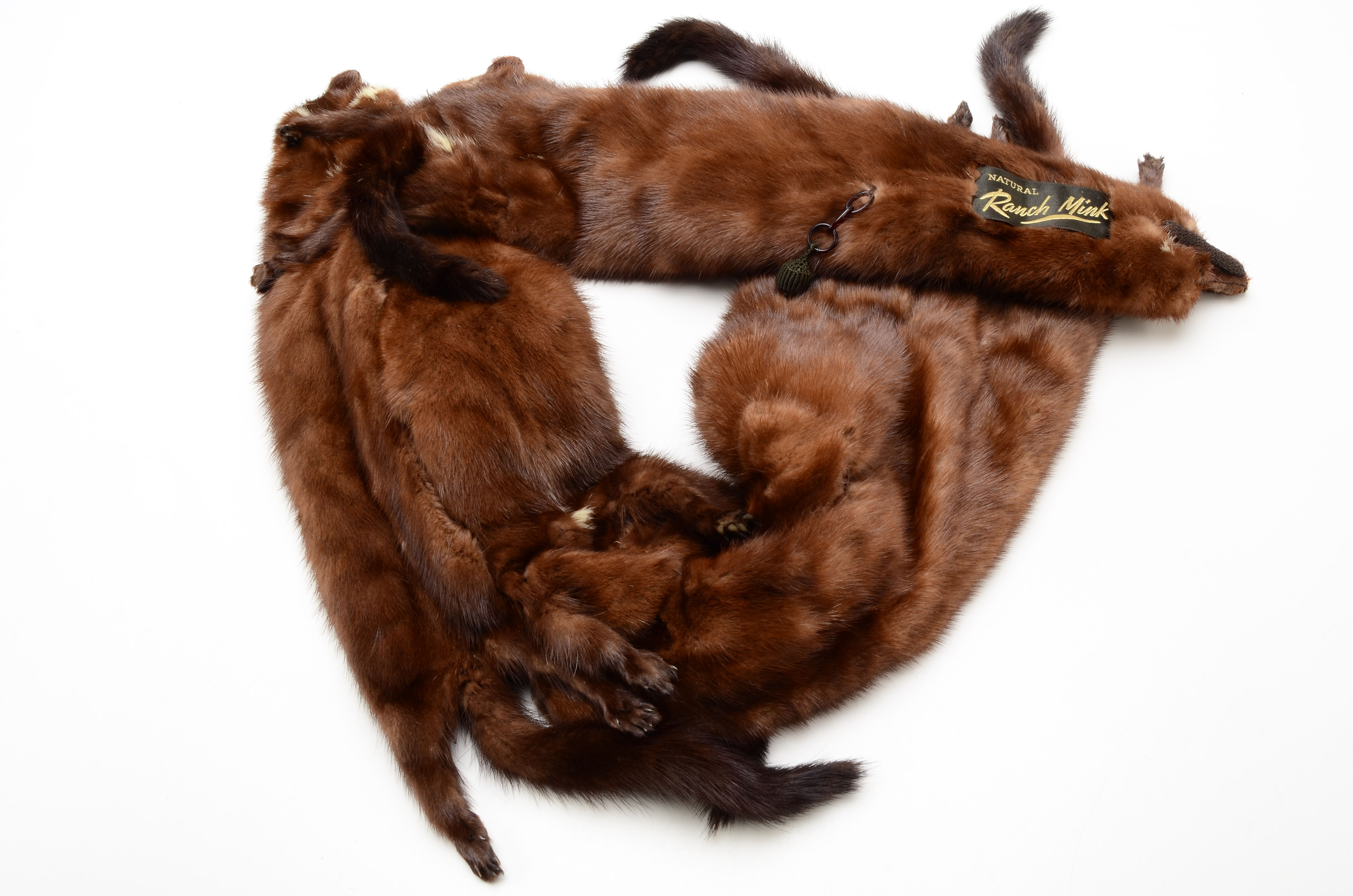 Vintage Taxidermied Ranch Mink Fur Pelt Stole