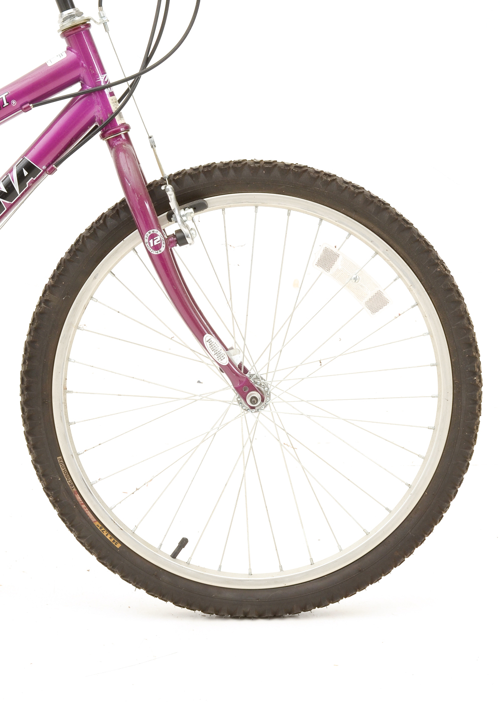 Glacier Point Magna Girl's Mountain Bike