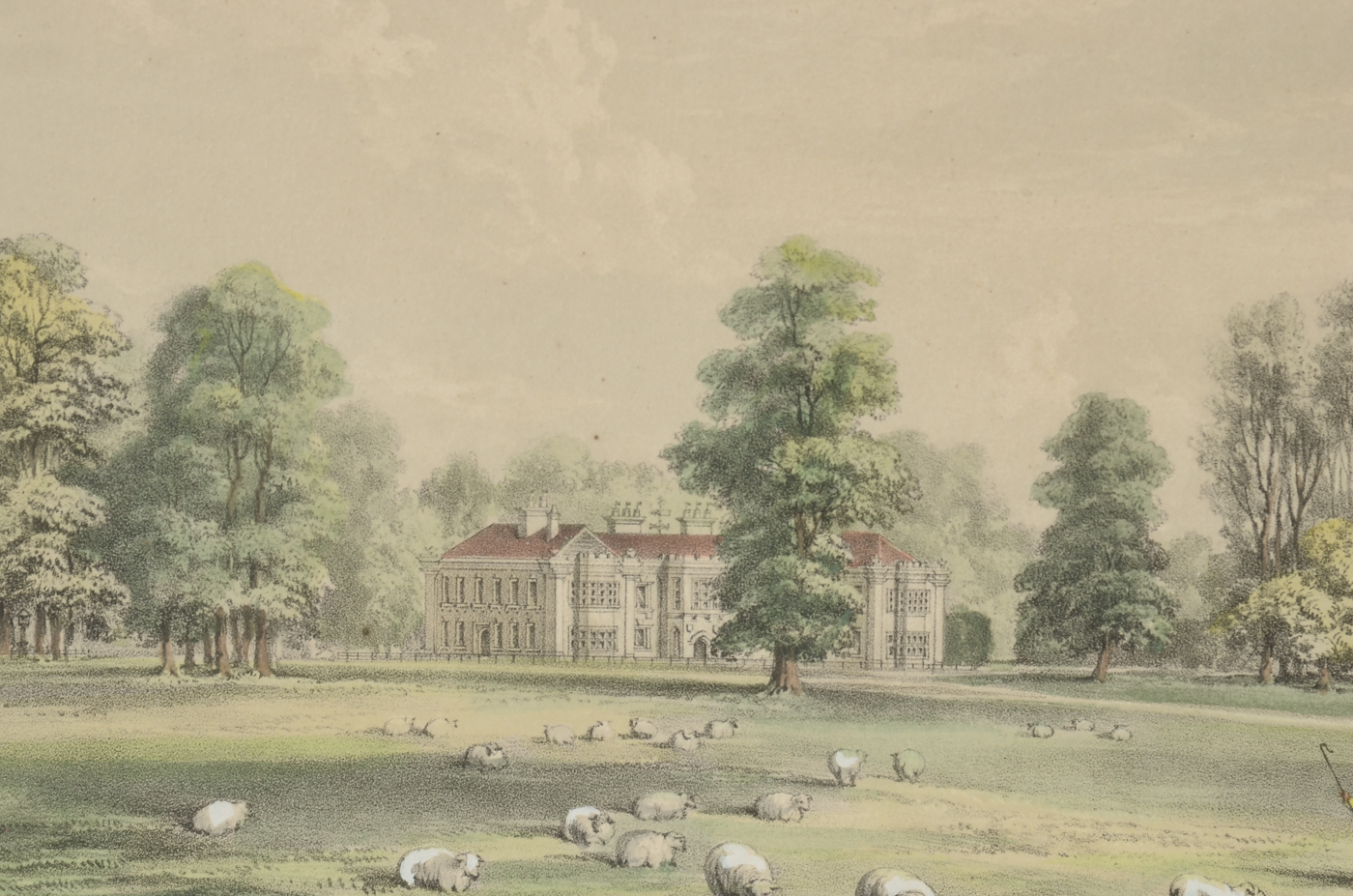 William Gauci Antique Original 1850 Hand-Colored Lithograph after Augustus Butler