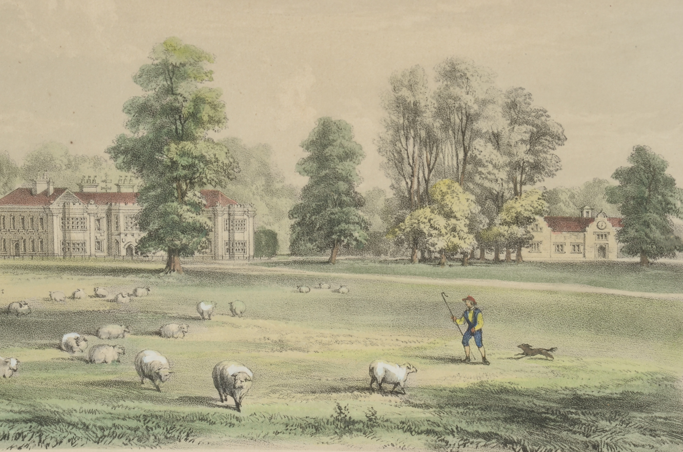 William Gauci Antique Original 1850 Hand-Colored Lithograph after Augustus Butler