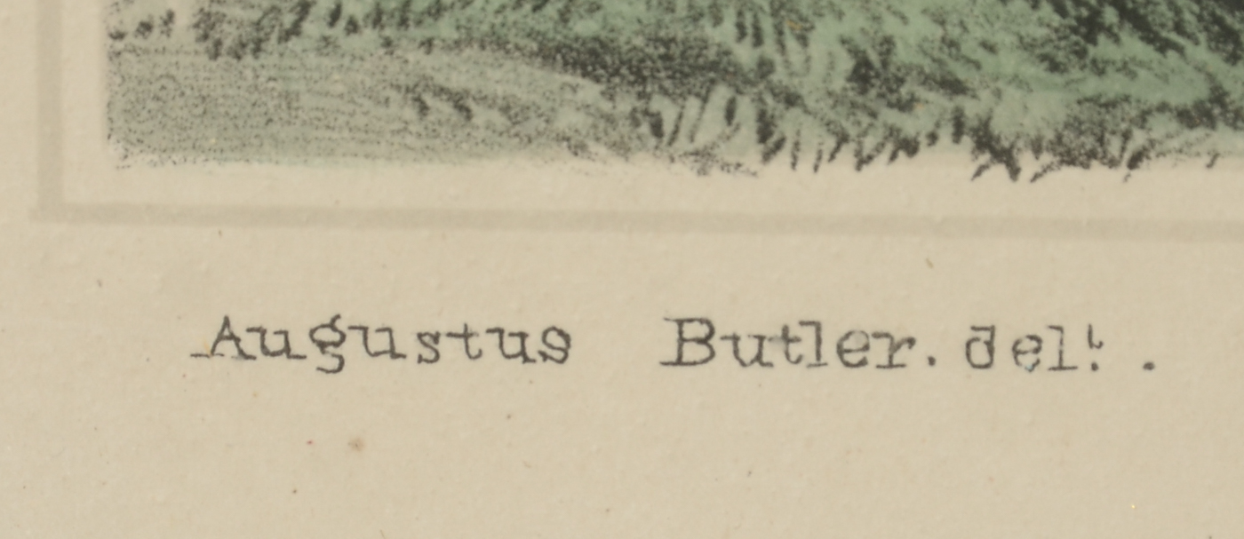 William Gauci Antique Original 1850 Hand-Colored Lithograph after Augustus Butler