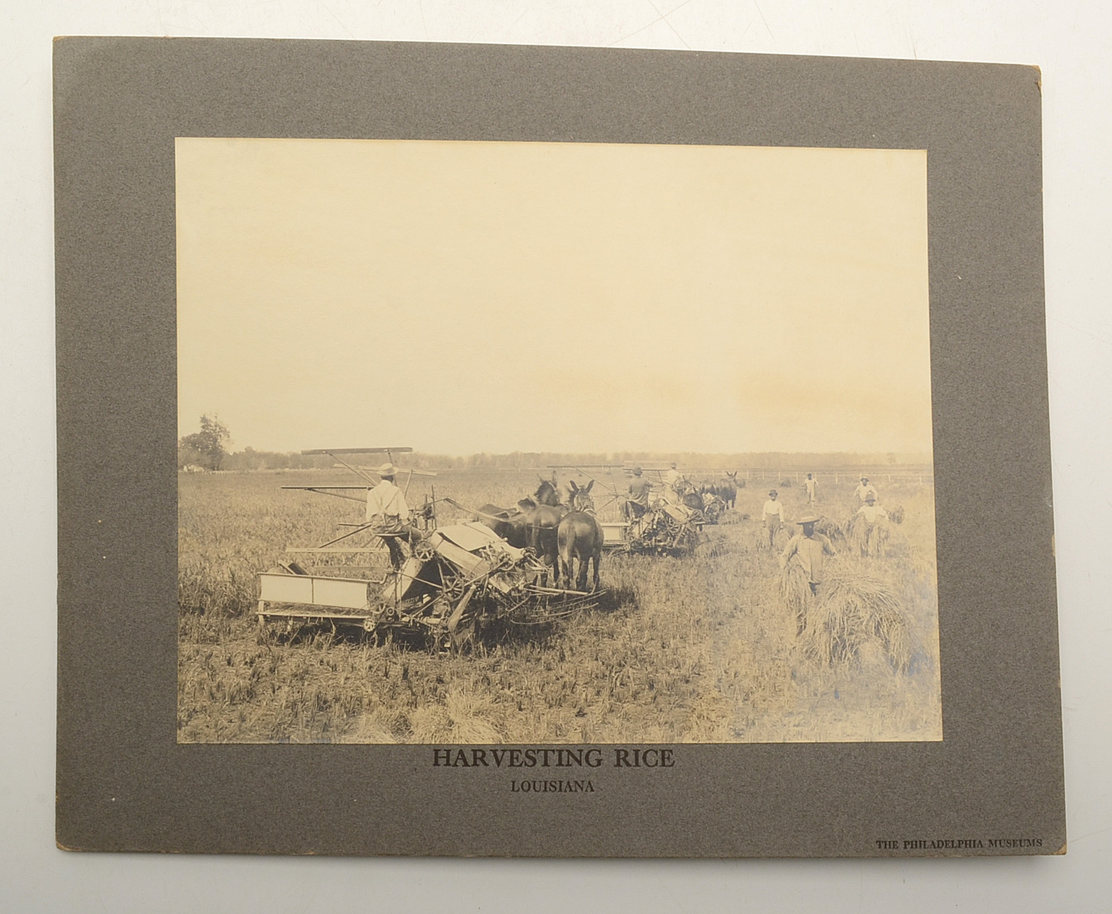 Collection of Vintage Books and Mounted Photographs