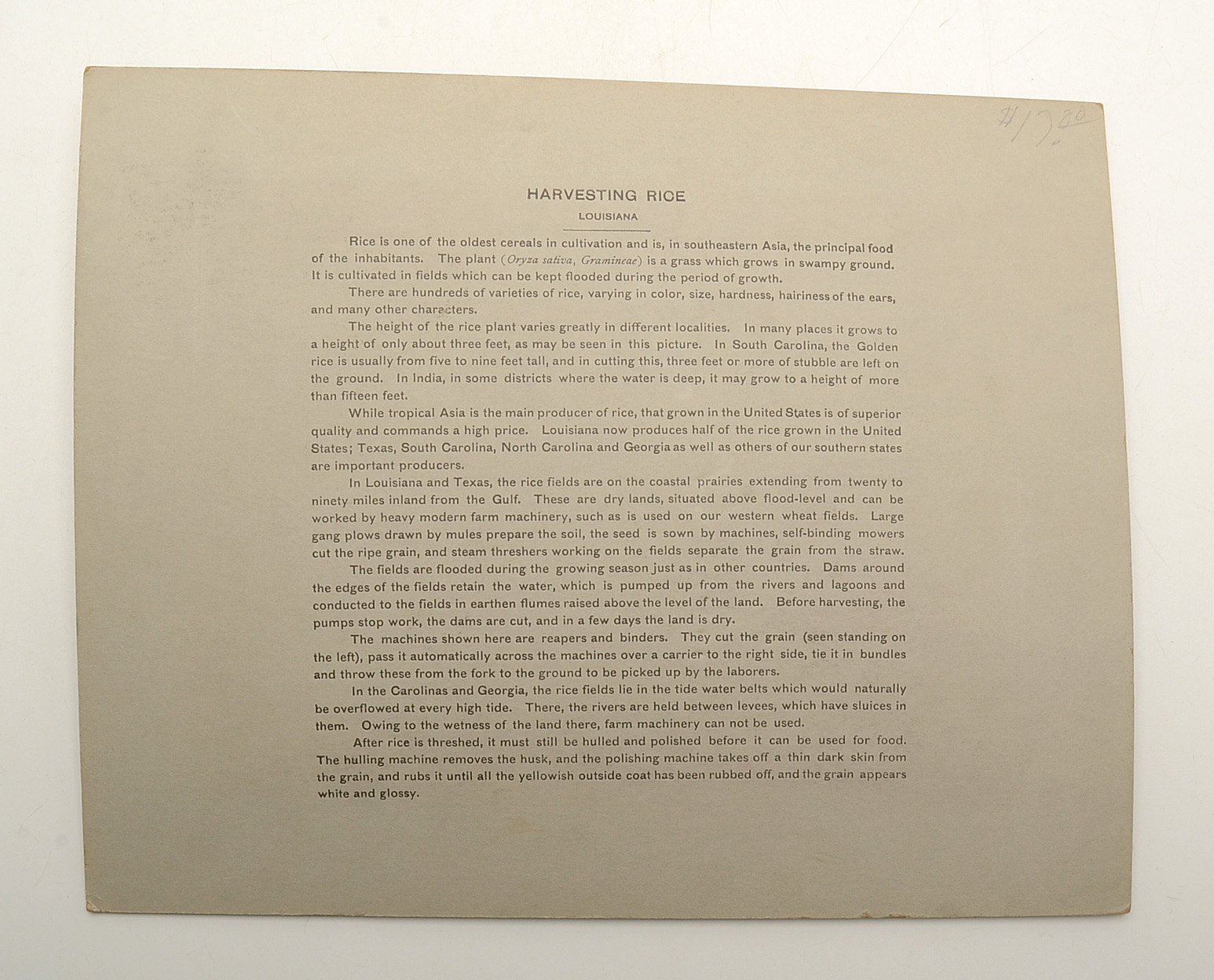 Collection of Vintage Books and Mounted Photographs