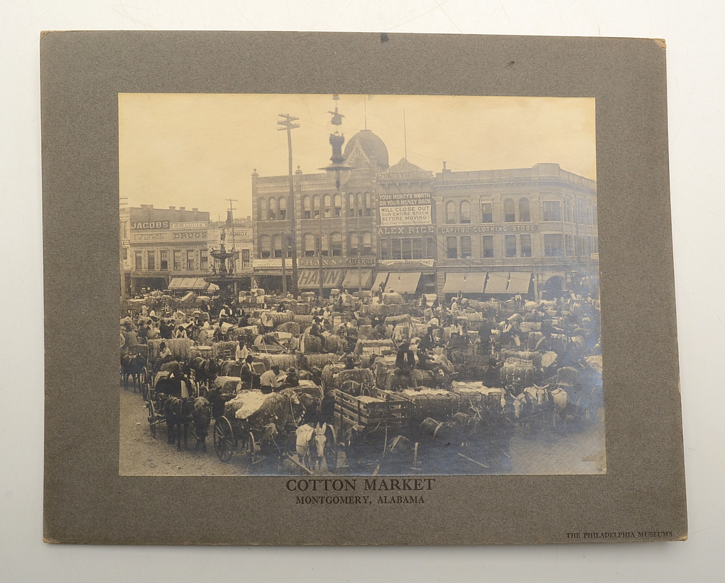 Collection of Vintage Books and Mounted Photographs