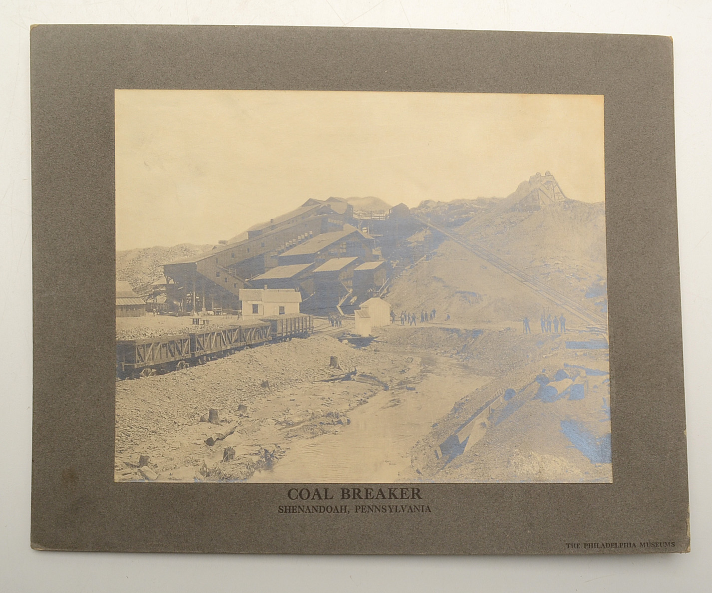 Collection of Vintage Books and Mounted Photographs