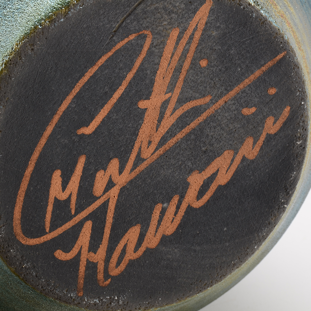 Signed Hawaiian Raku Pottery Turtle Jar