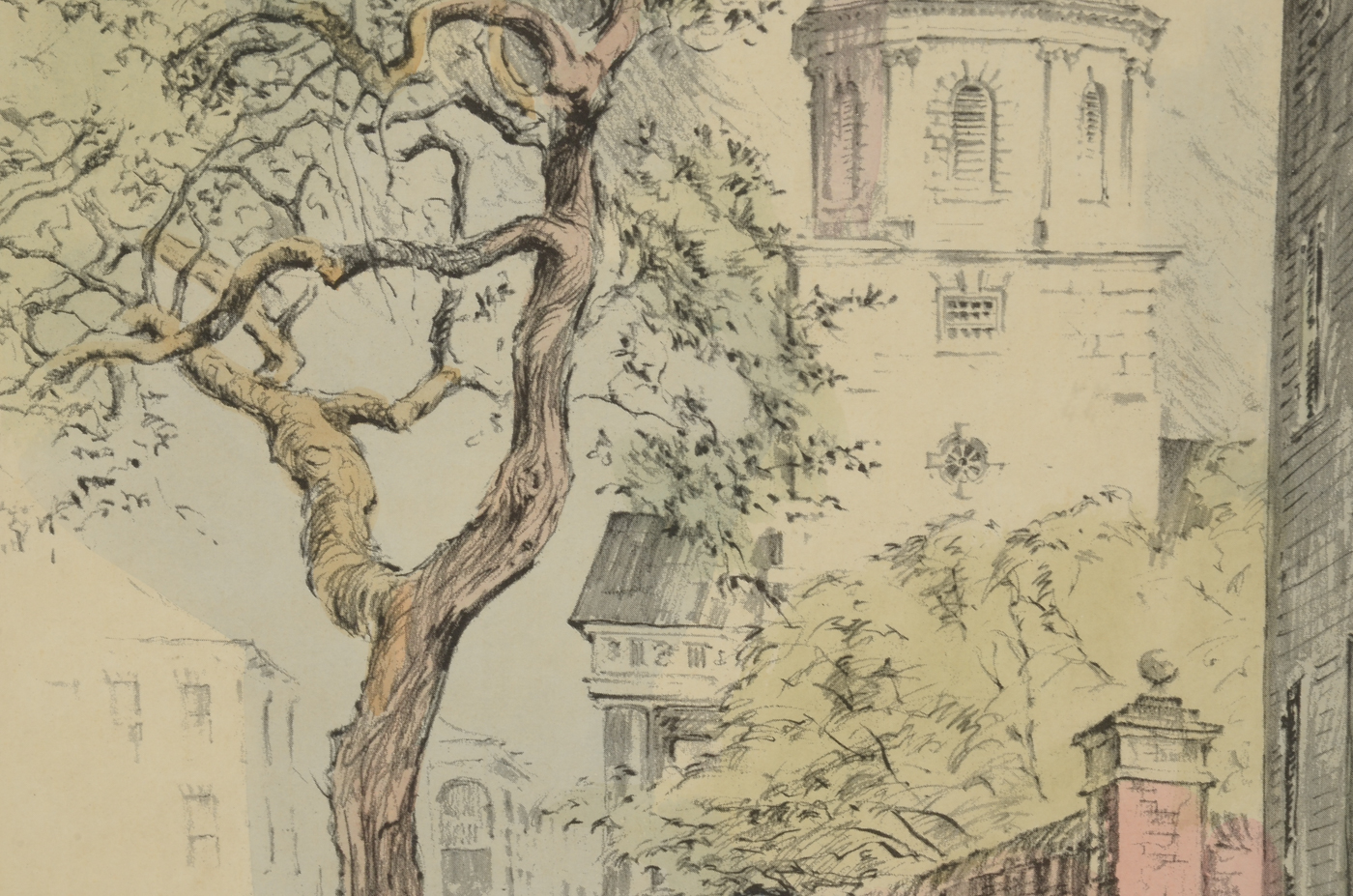 Offset Lithographic Reproduction after Julia Homer Wilson