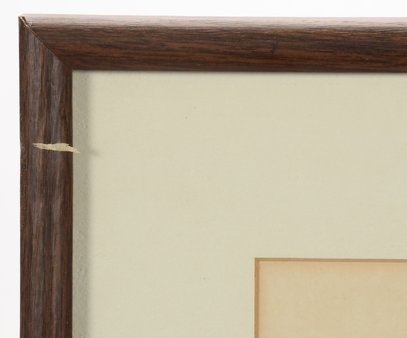 Offset Lithographic Reproduction after Julia Homer Wilson