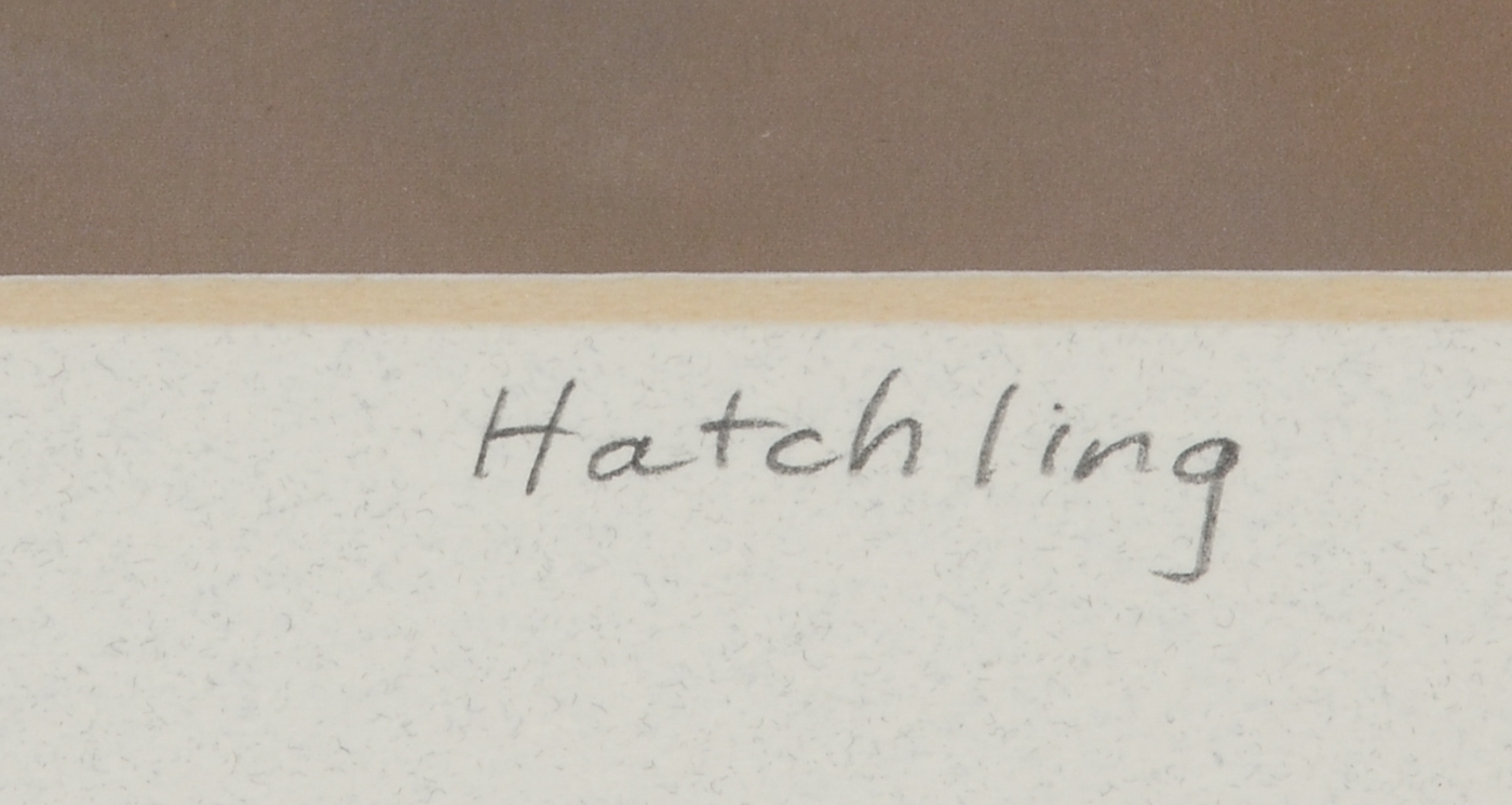 Pair of Jane Kiskaddon Signed Giclées "Hatchling" and "