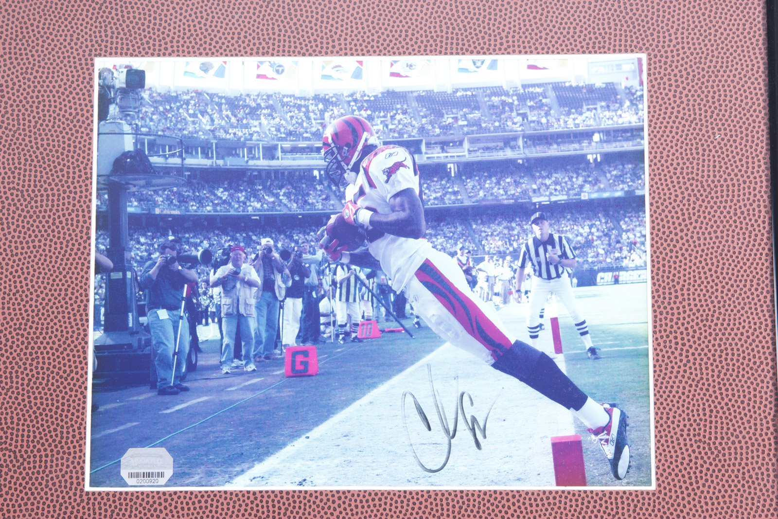 Chad Johnson Signed Cincinnati Bengals Photograph