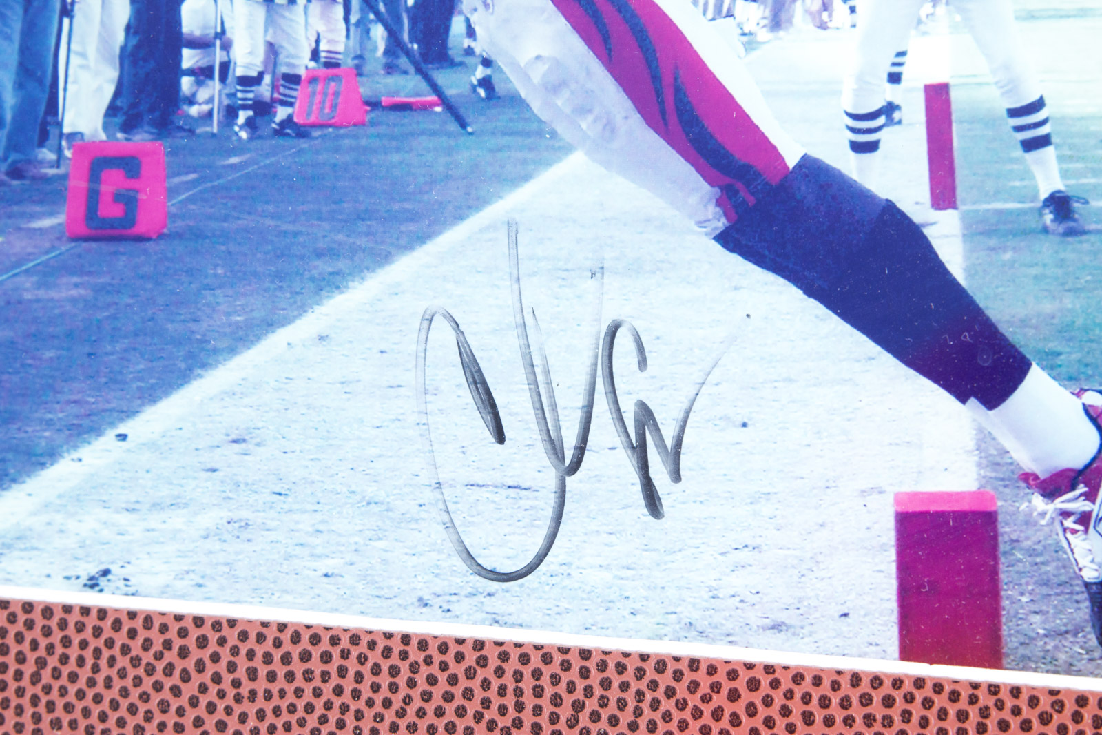 Chad Johnson Signed Cincinnati Bengals Photograph