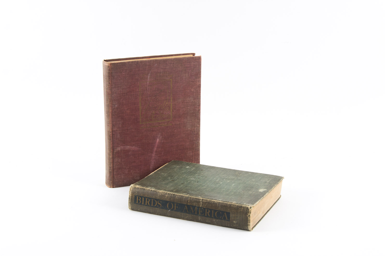 Vintage Bird Themed Books with Colorful Plates