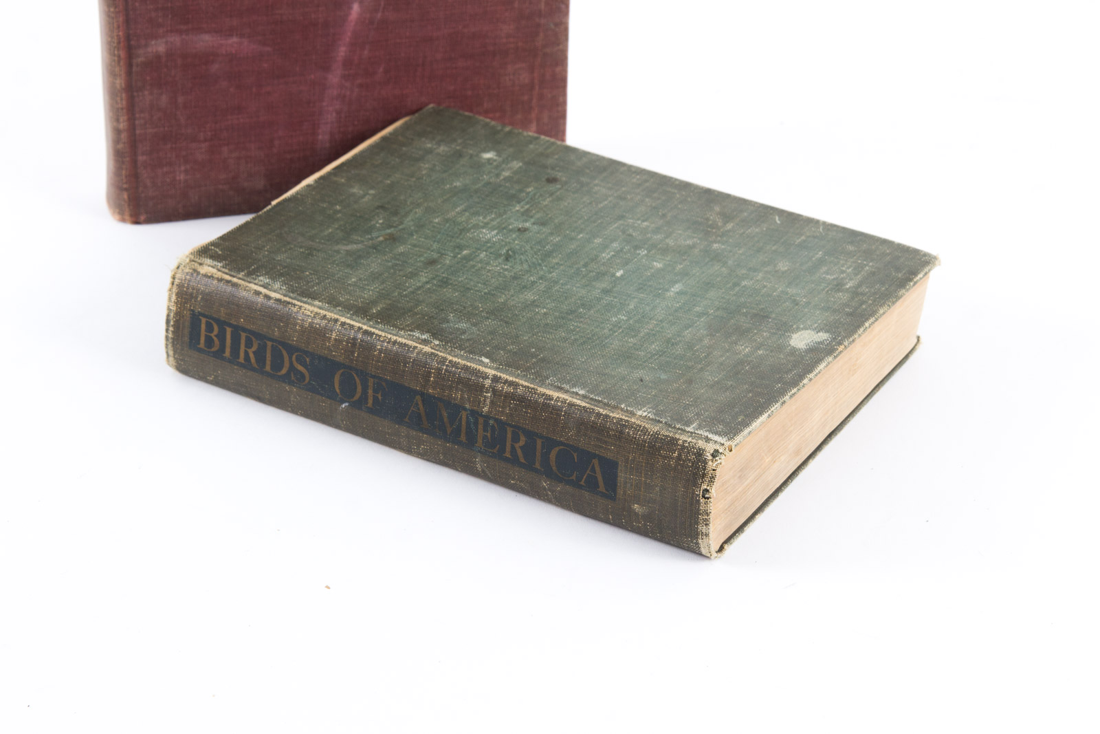 Vintage Bird Themed Books with Colorful Plates