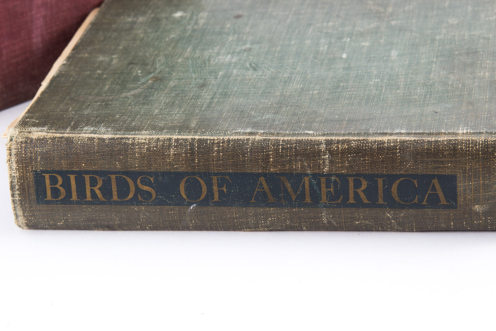 Vintage Bird Themed Books with Colorful Plates