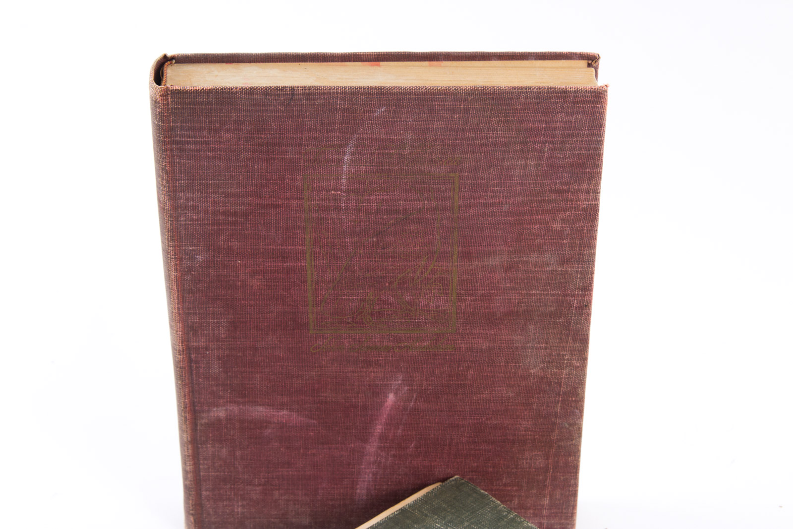 Vintage Bird Themed Books with Colorful Plates