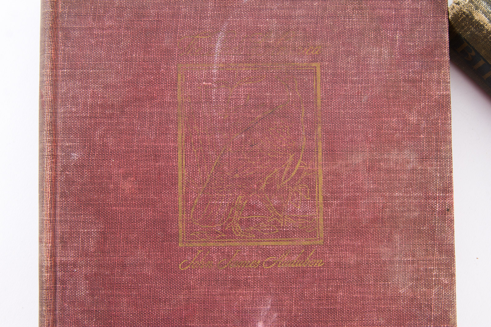 Vintage Bird Themed Books with Colorful Plates