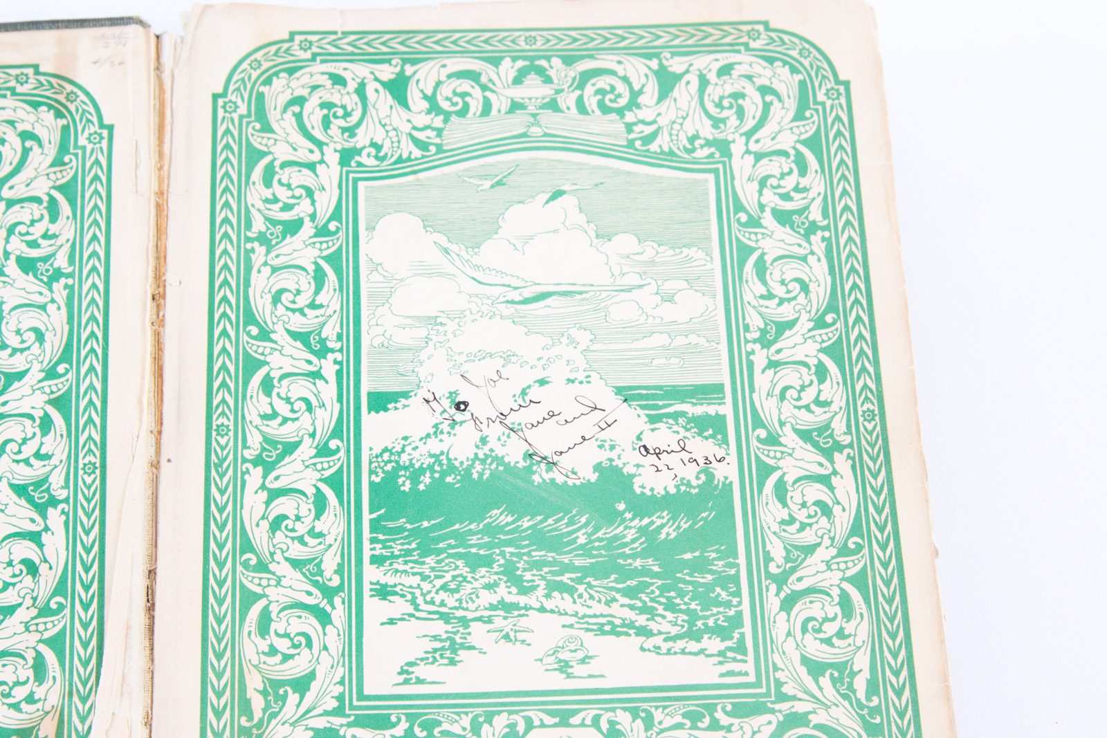 Vintage Bird Themed Books with Colorful Plates