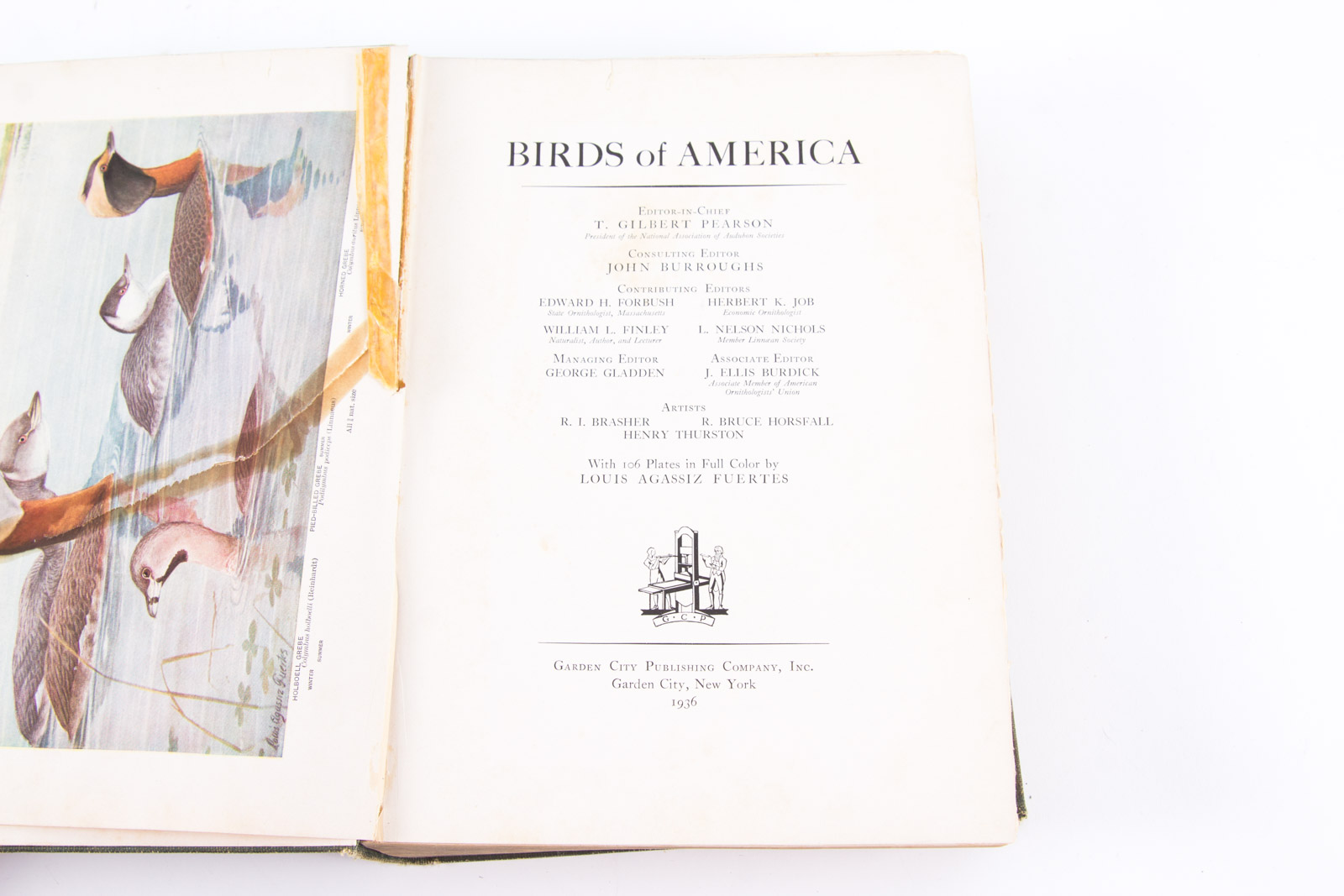 Vintage Bird Themed Books with Colorful Plates