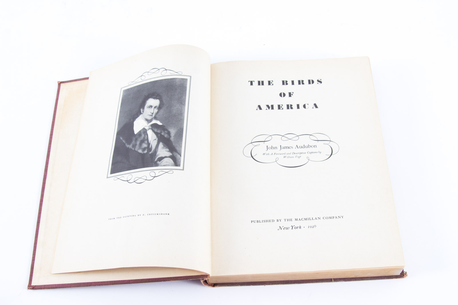 Vintage Bird Themed Books with Colorful Plates