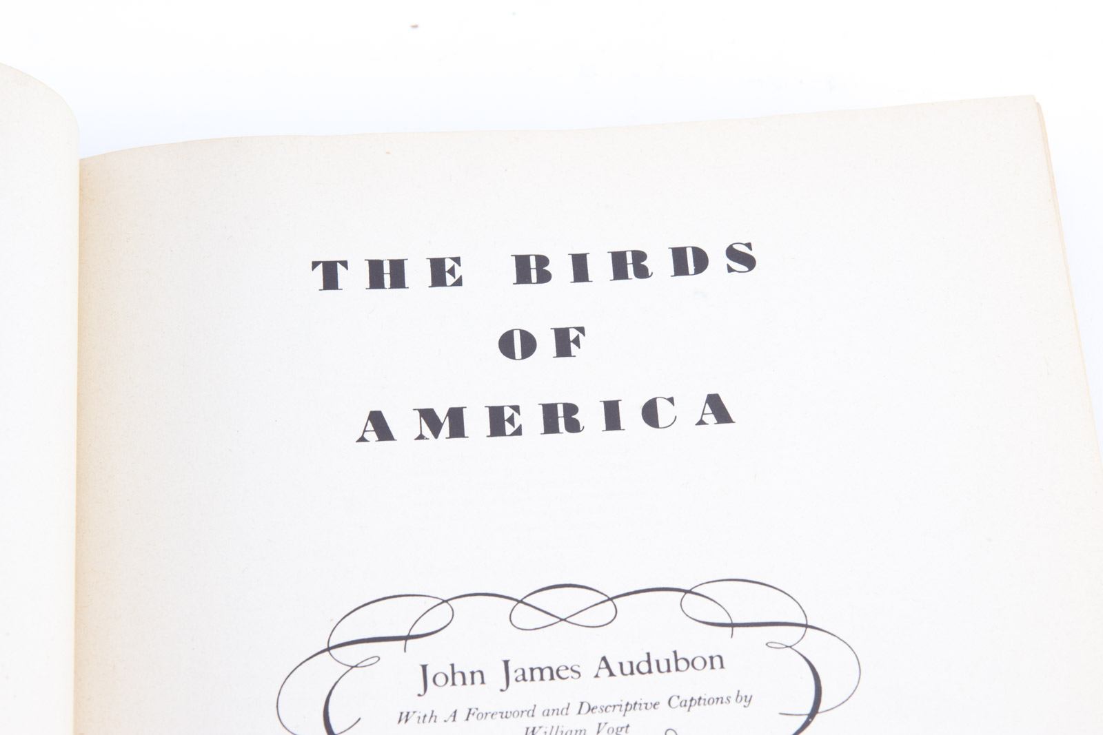 Vintage Bird Themed Books with Colorful Plates