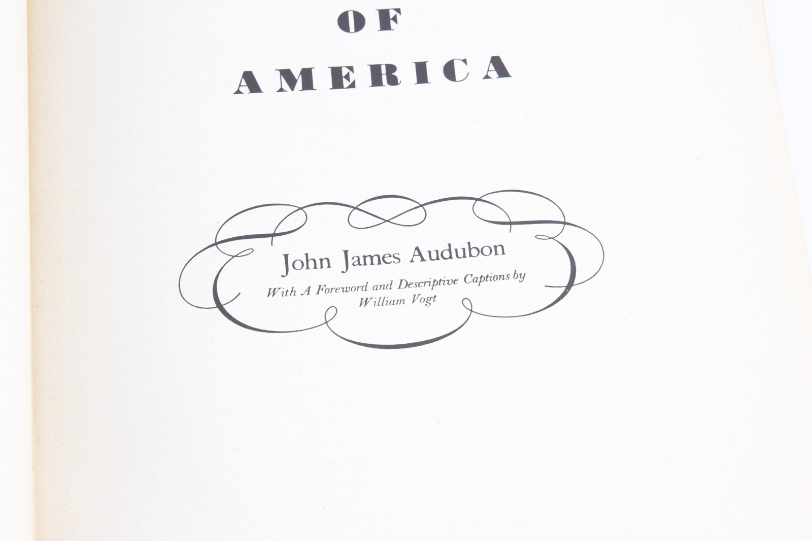 Vintage Bird Themed Books with Colorful Plates