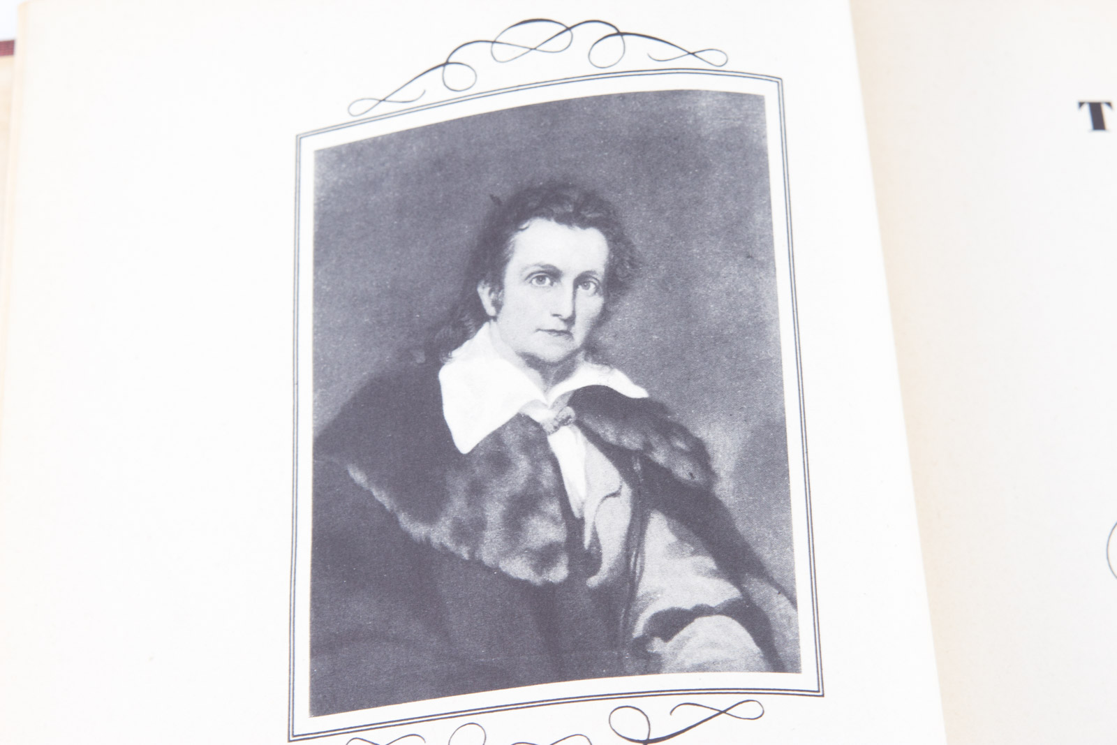 Vintage Bird Themed Books with Colorful Plates