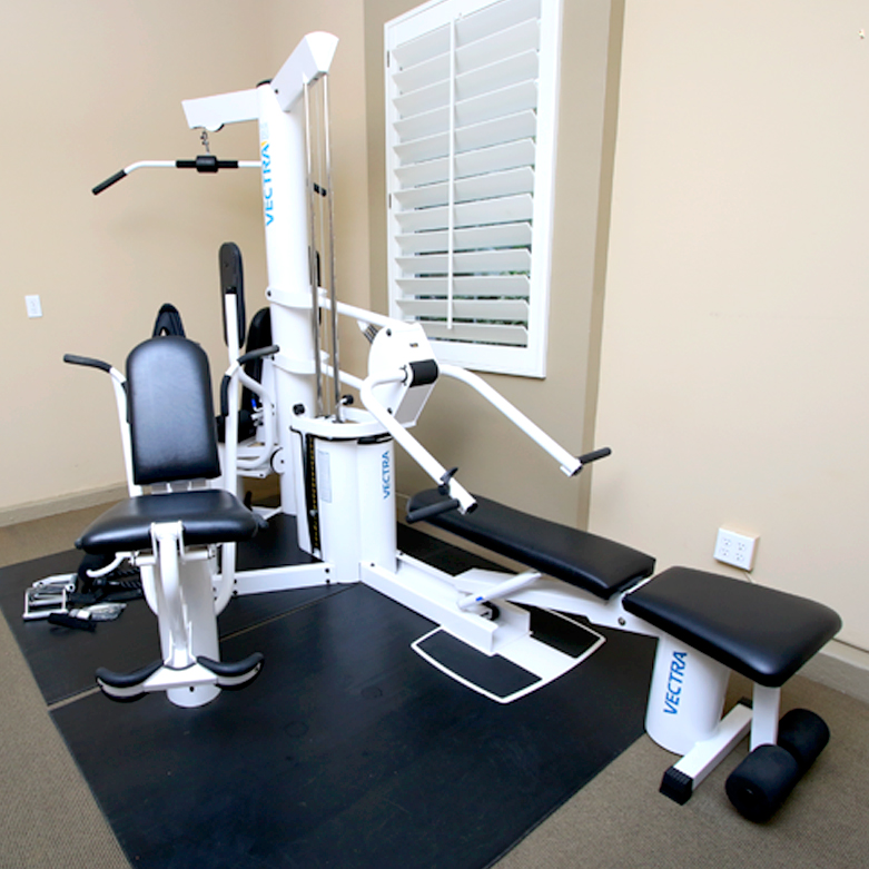 Vectra On Line 1850 Home Gym Everything But The House