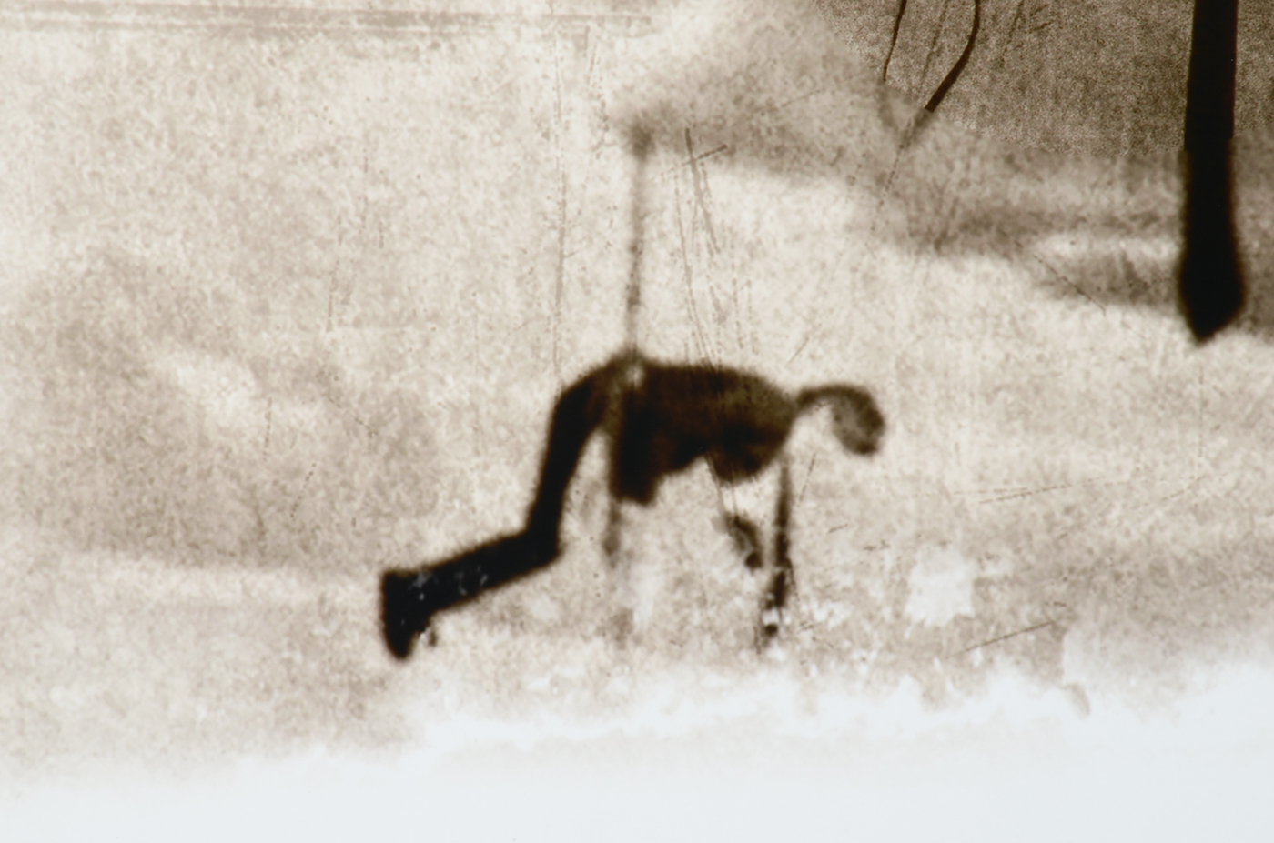 Taylor Marquardt Original Signed Metallic Composite Photograph