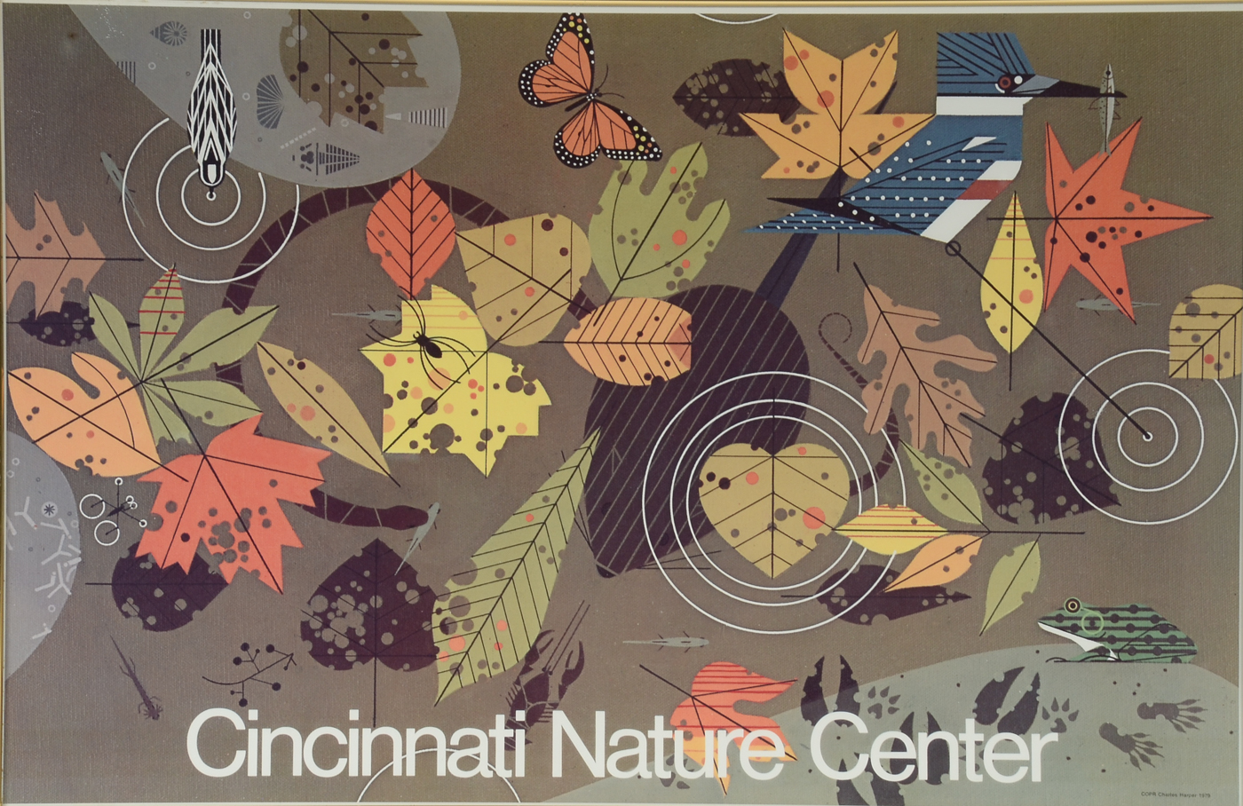 1970 Poster for Cincinnati Nature Center Designed by Charley Harper