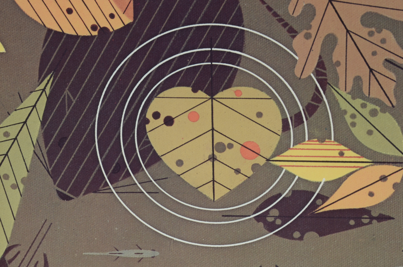 1970 Poster for Cincinnati Nature Center Designed by Charley Harper