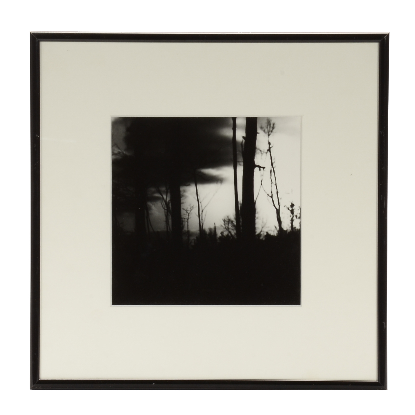 Black-and-White Digital Photograph Attributed to Walter Zabaglio