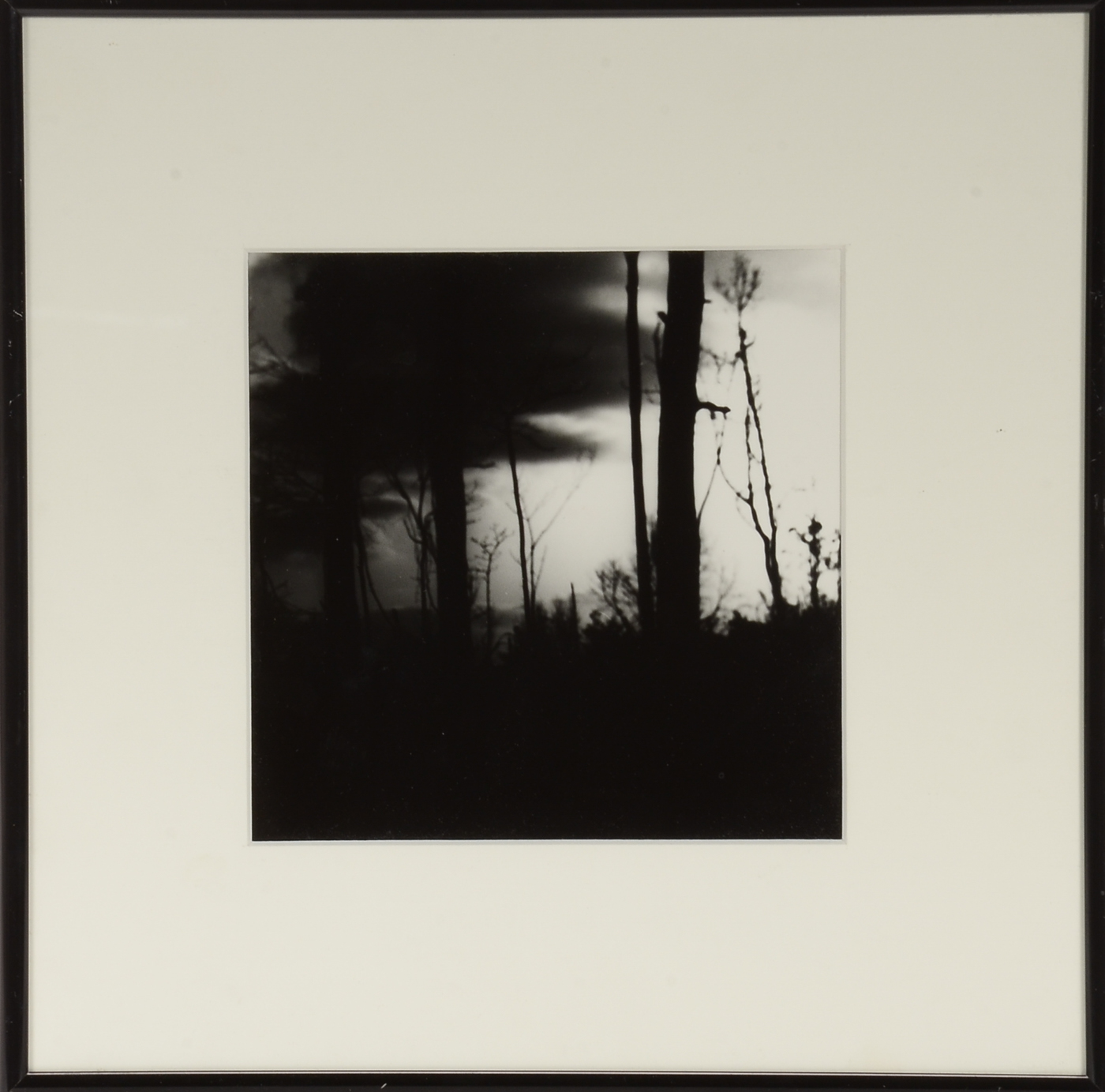 Black-and-White Digital Photograph Attributed to Walter Zabaglio