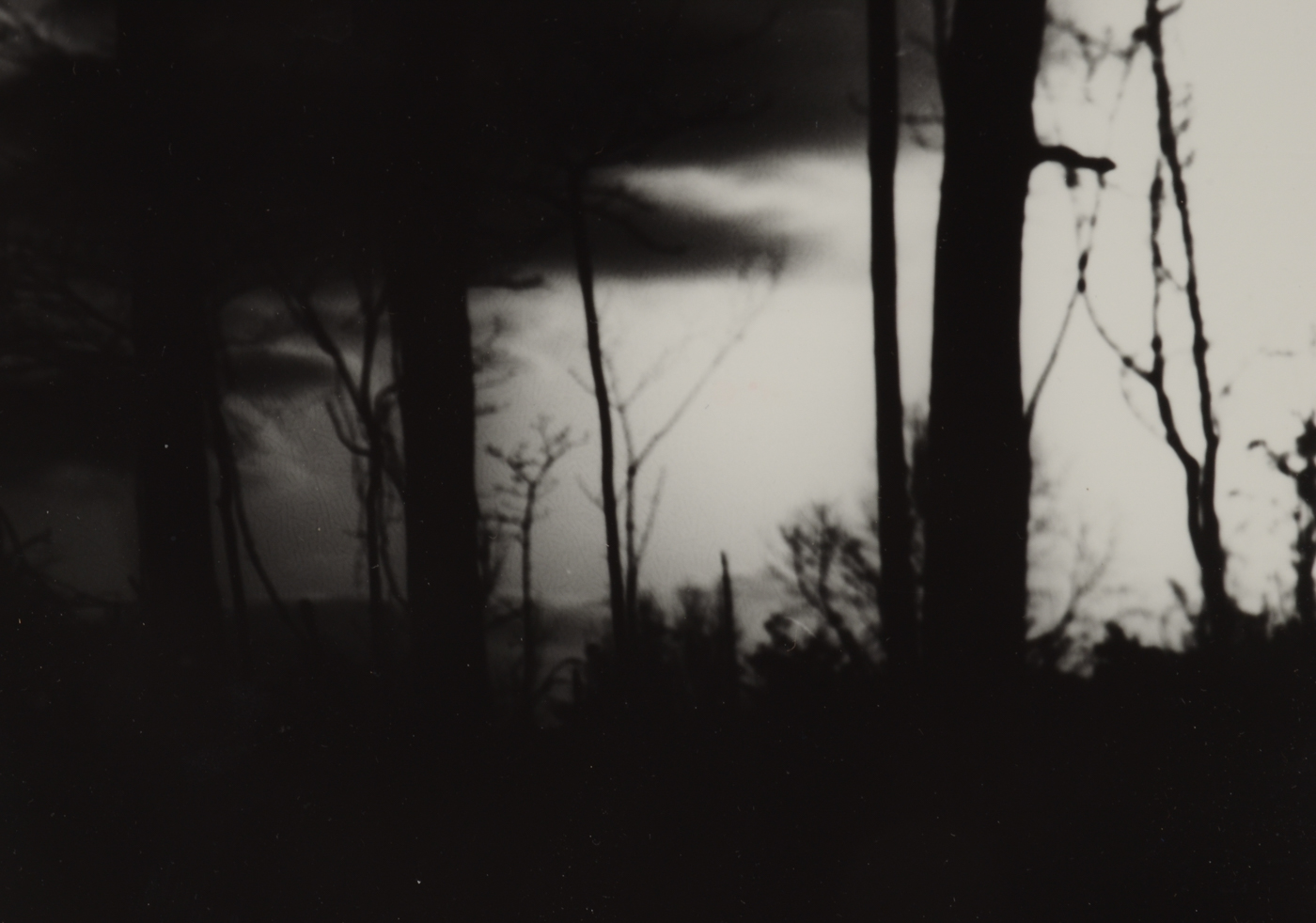 Black-and-White Digital Photograph Attributed to Walter Zabaglio