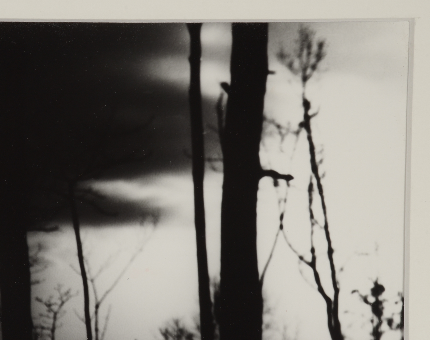 Black-and-White Digital Photograph Attributed to Walter Zabaglio