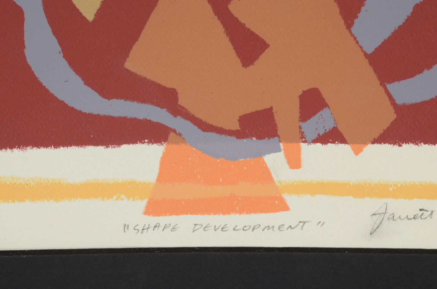 Janett Jamison 2007 Limited Edition Serigraph "Shape Development"
