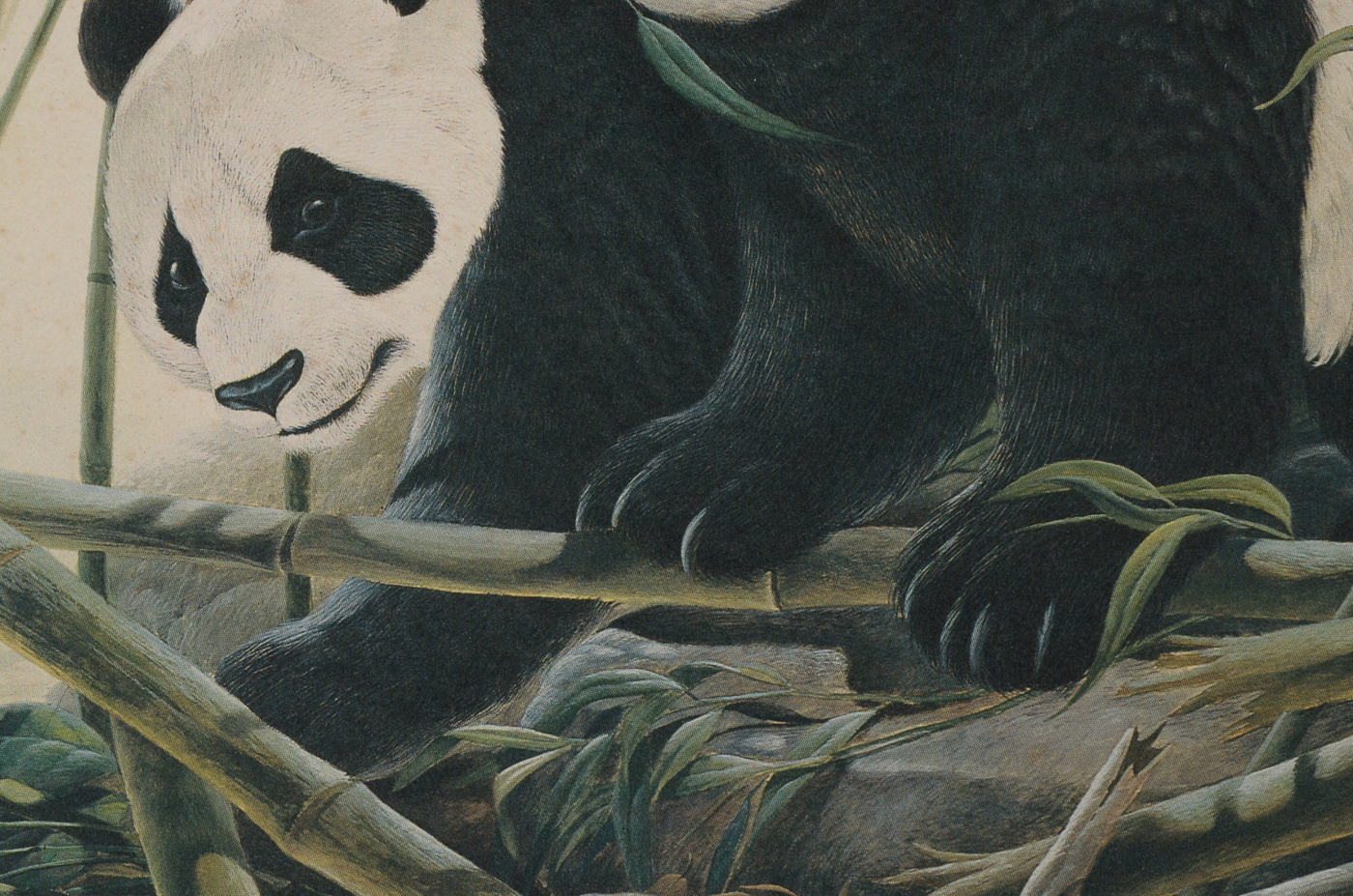 John Ruthven Signed Small-Scale Offset Lithograph "Panda Bears"