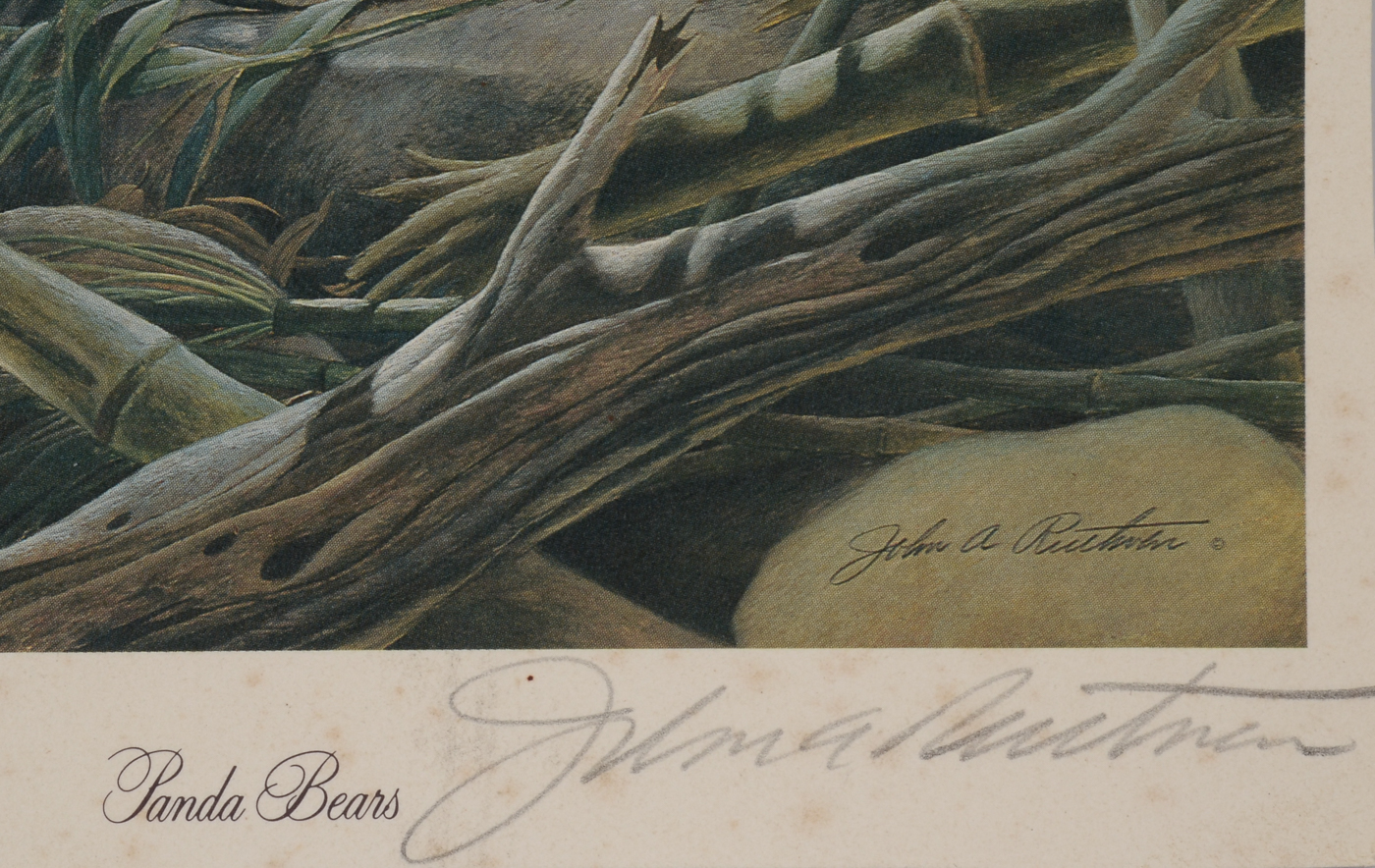 John Ruthven Signed Small-Scale Offset Lithograph "Panda Bears"