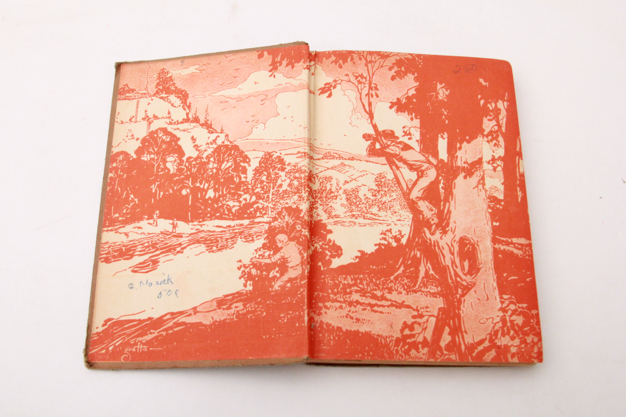 Collection of Hardy Boys Books by Franklin W. Dixon