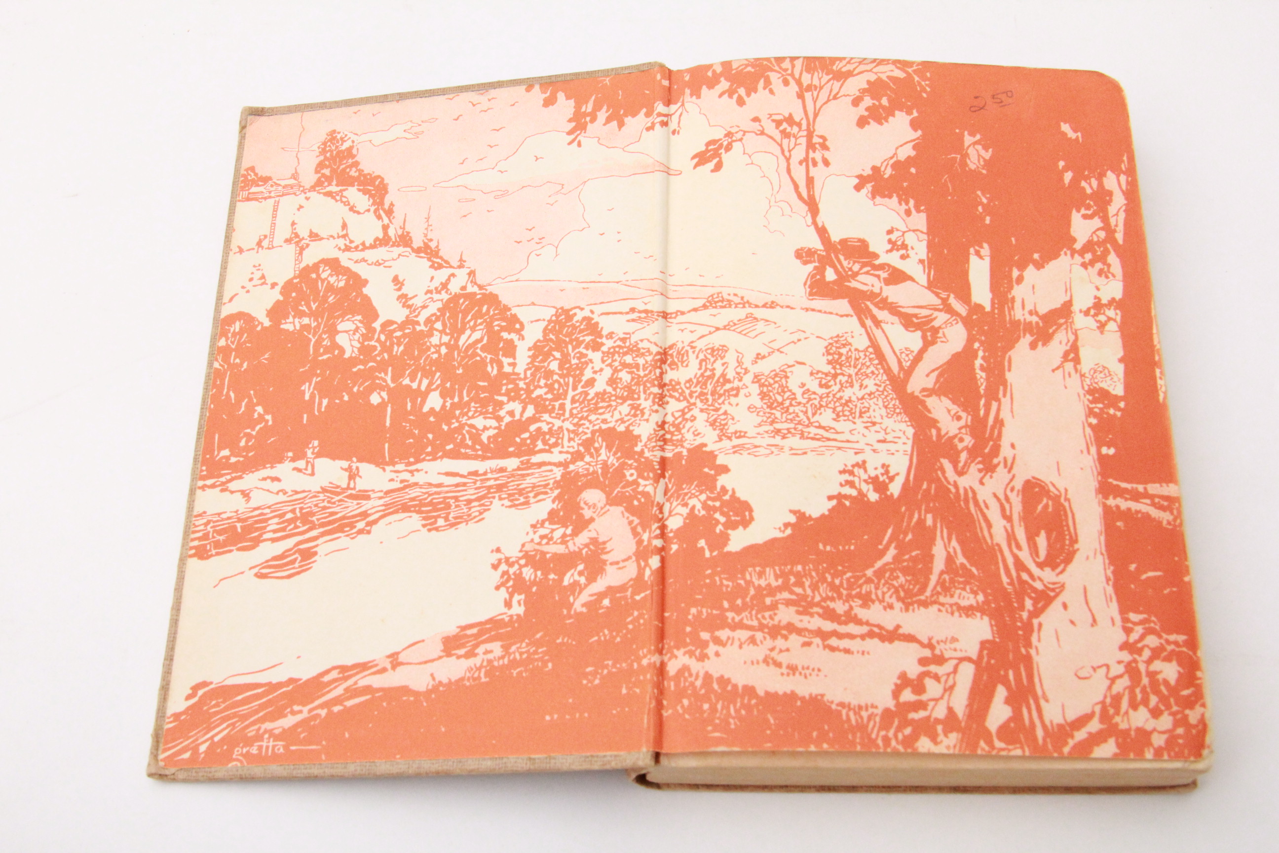 Collection of Hardy Boys Books by Franklin W. Dixon