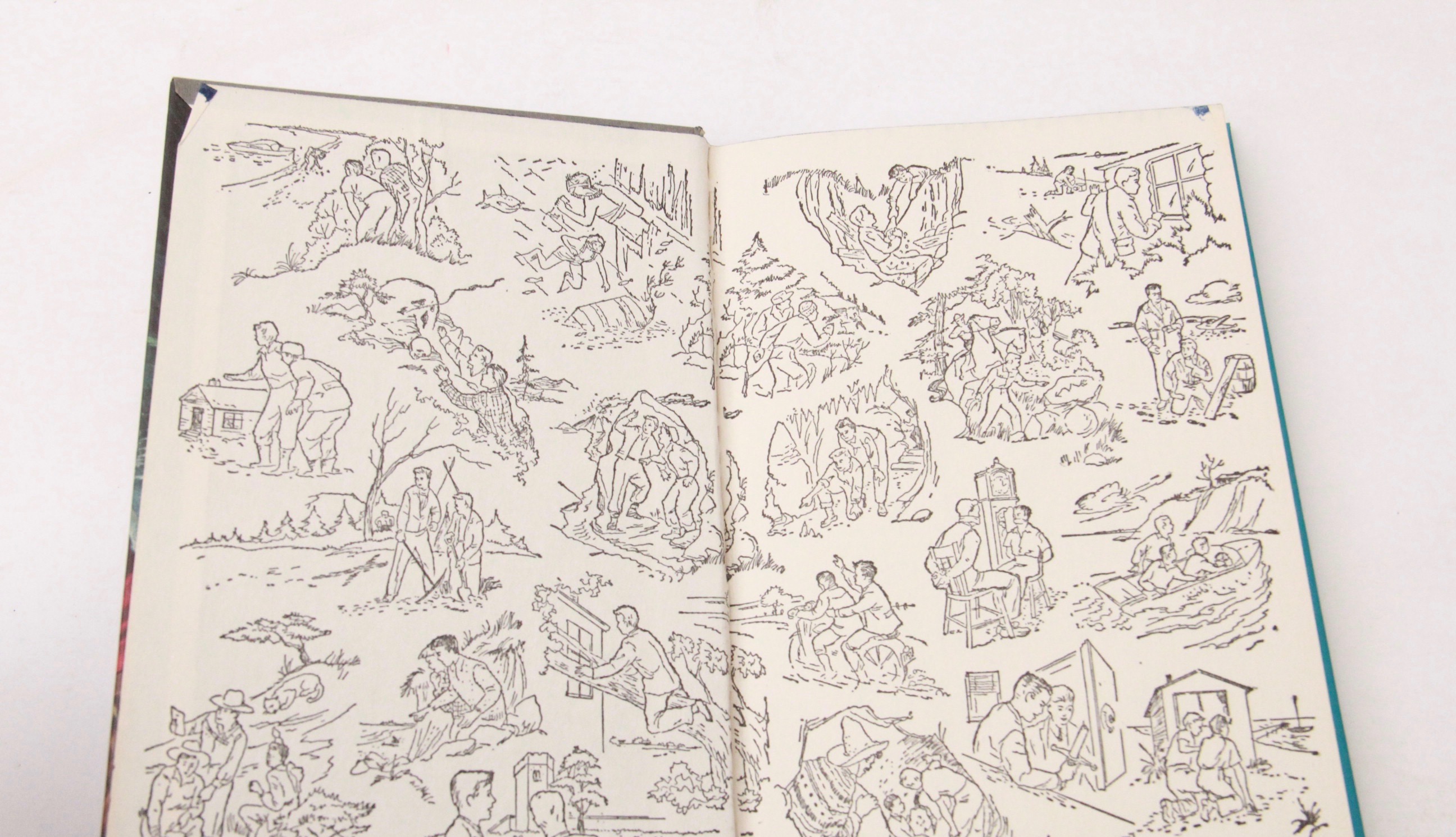 Collection of Hardy Boys Books by Franklin W. Dixon