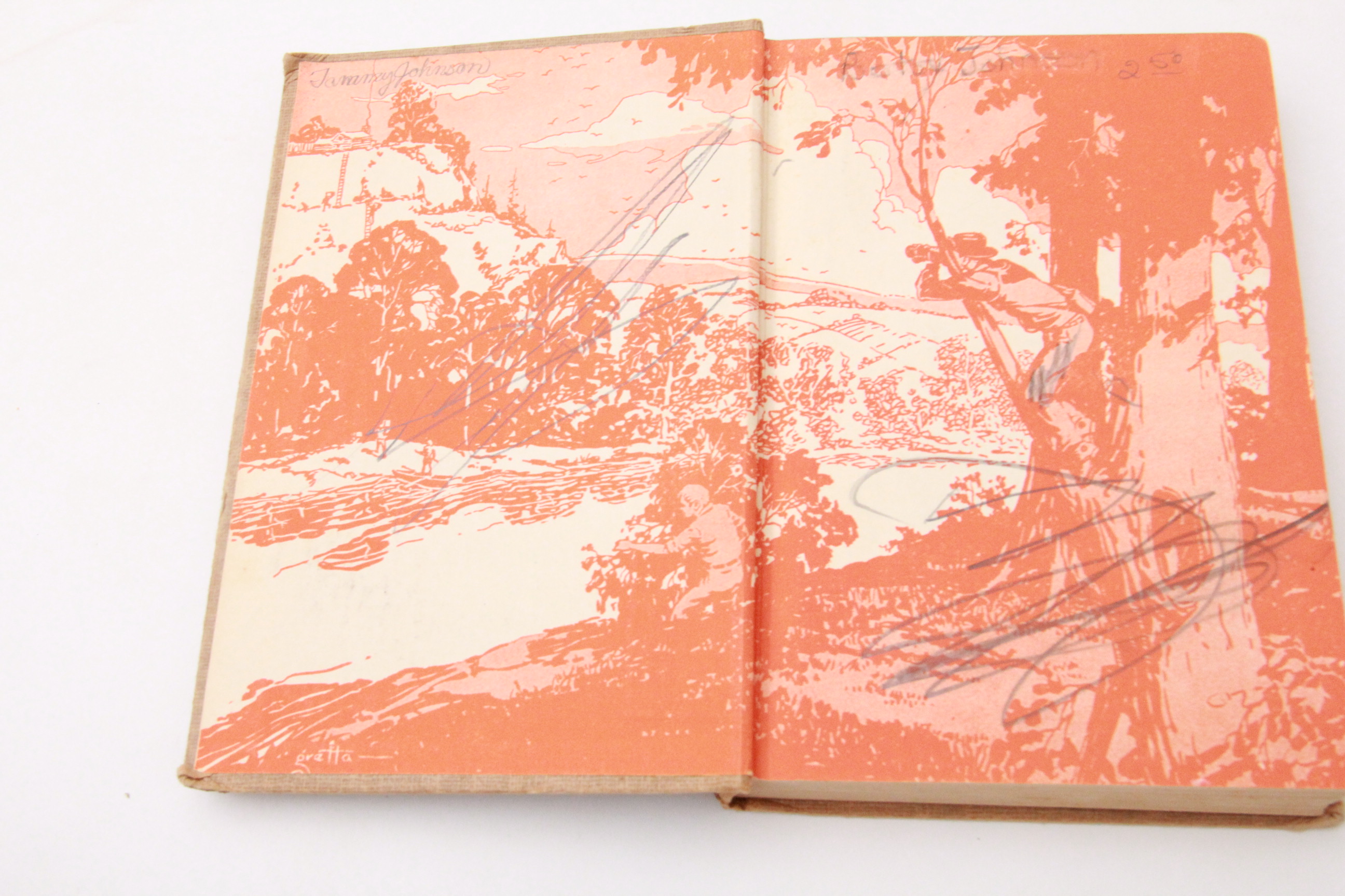 Collection of Hardy Boys Books by Franklin W. Dixon