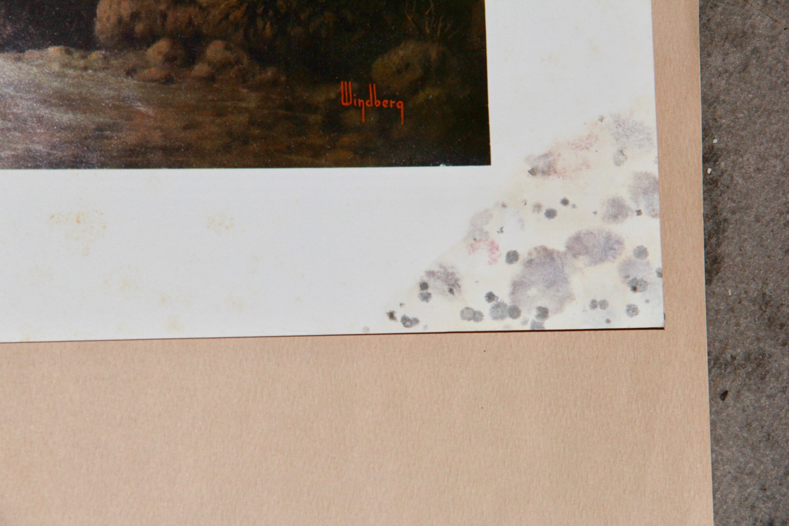 Collection of Dalhart Windberg Offset Lithographs of Landscapes