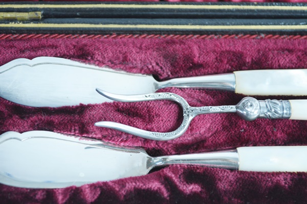 Antique Mother of Pearl Handle Serving Set With Sterling Fork