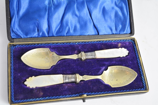 Antique Spoon Set With Mother of Pearl Handle, Sterling Neck and EPNS Bowl