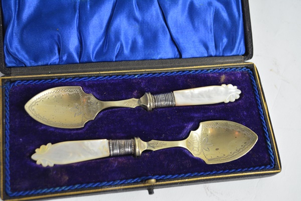 Antique Spoon Set With Mother of Pearl Handle, Sterling Neck and EPNS Bowl