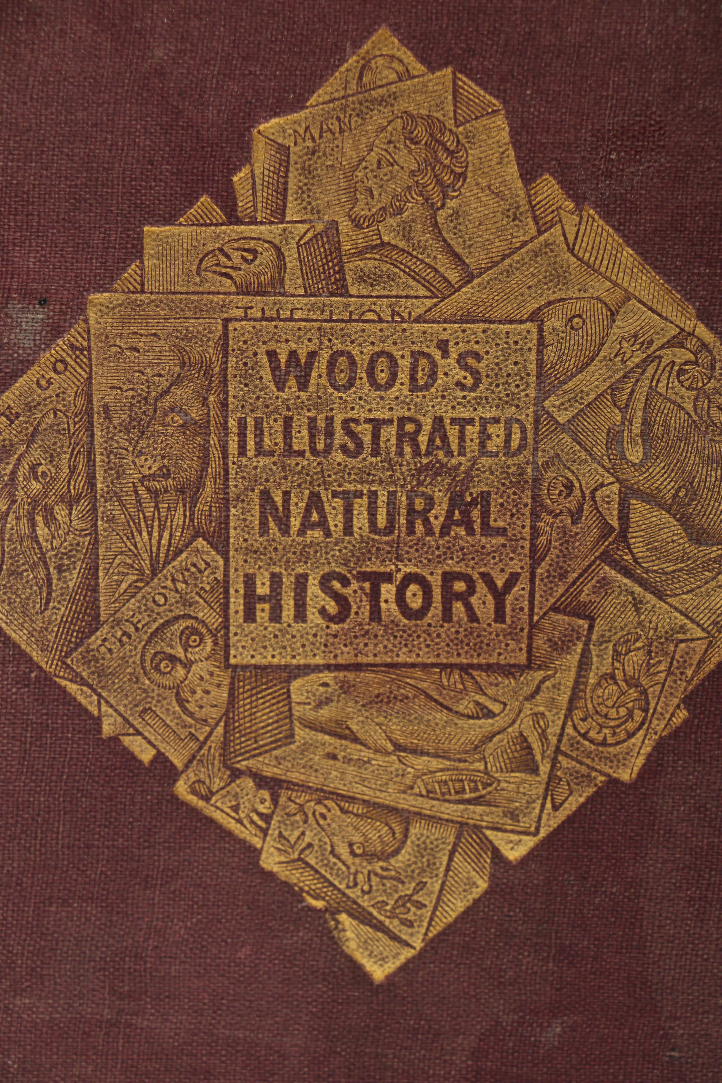 1875 "Wood's Illustrated Natural History"